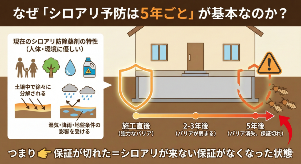 なぜ「シロアリ予防は5年ごと」が基本なのか？